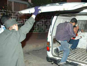 Imagen de archivo