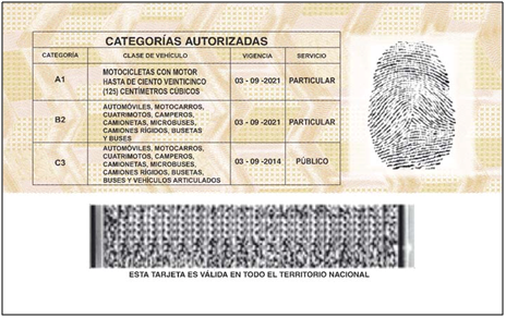licencia-nueva-atras